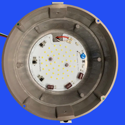 Rubicon Capacitor Customized LED Modules CB/CE/IEC Certificated 156LM/W 25W 220V AC DOB LED Module