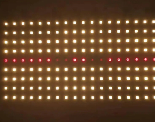 Customized 70W Triac Dimmable 220V AC Quantum Board Full Spectrum LED Light Engine For Horticulture Lights
